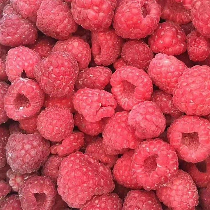 Freezing Raspberries
