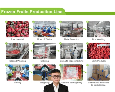 Centro de compradores de fresas congeladas (2026): IQF, especificaciones, con...