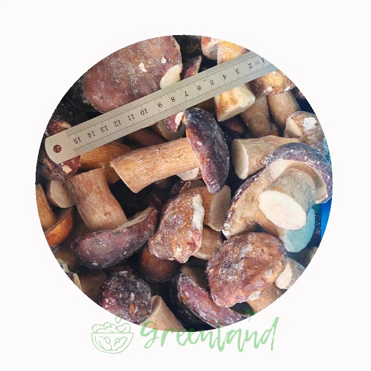 Frozen porcini mushroom storage and cold chain control GreenLand-food Frozen porcini mushroom storage and cold chain control GreenLand-food