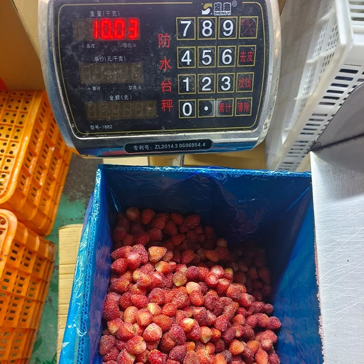 kosher certified frozen strawberries for commercial supply