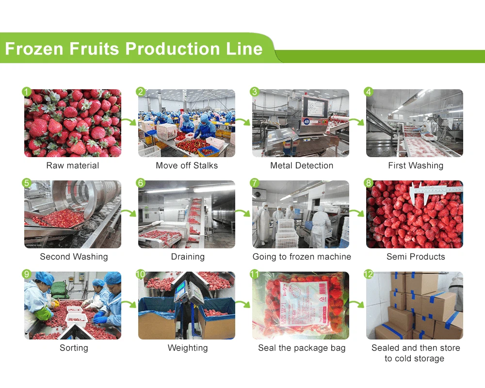 Frozen Fruits Frozen Fruits