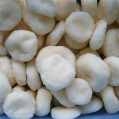 Verduras Congeladas con Castañas de Agua