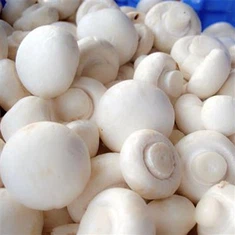 Champiñones Blancos