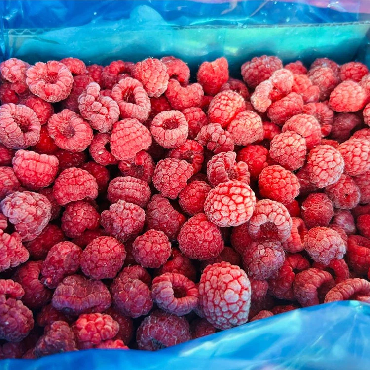 IQF Frozen Raspberries IQF Frozen Raspberries